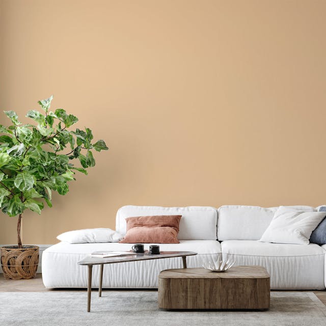 Beige Caldo Pittura - vernice-wall-paint-interiors-hot-beige-6