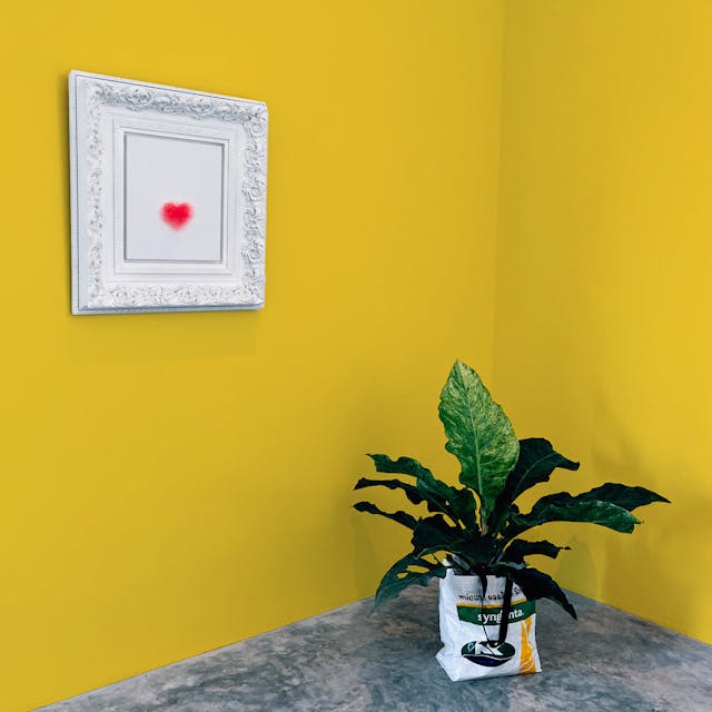 Sun Yellow Paint Color - vernice-wall-paint-interiors-sun-yellow-10