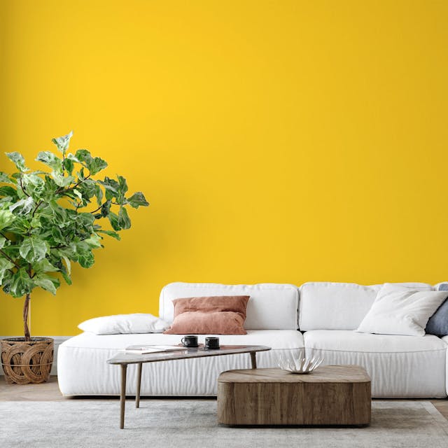 Sun Yellow Paint Color - vernice-wall-paint-interiors-sun-yellow-6