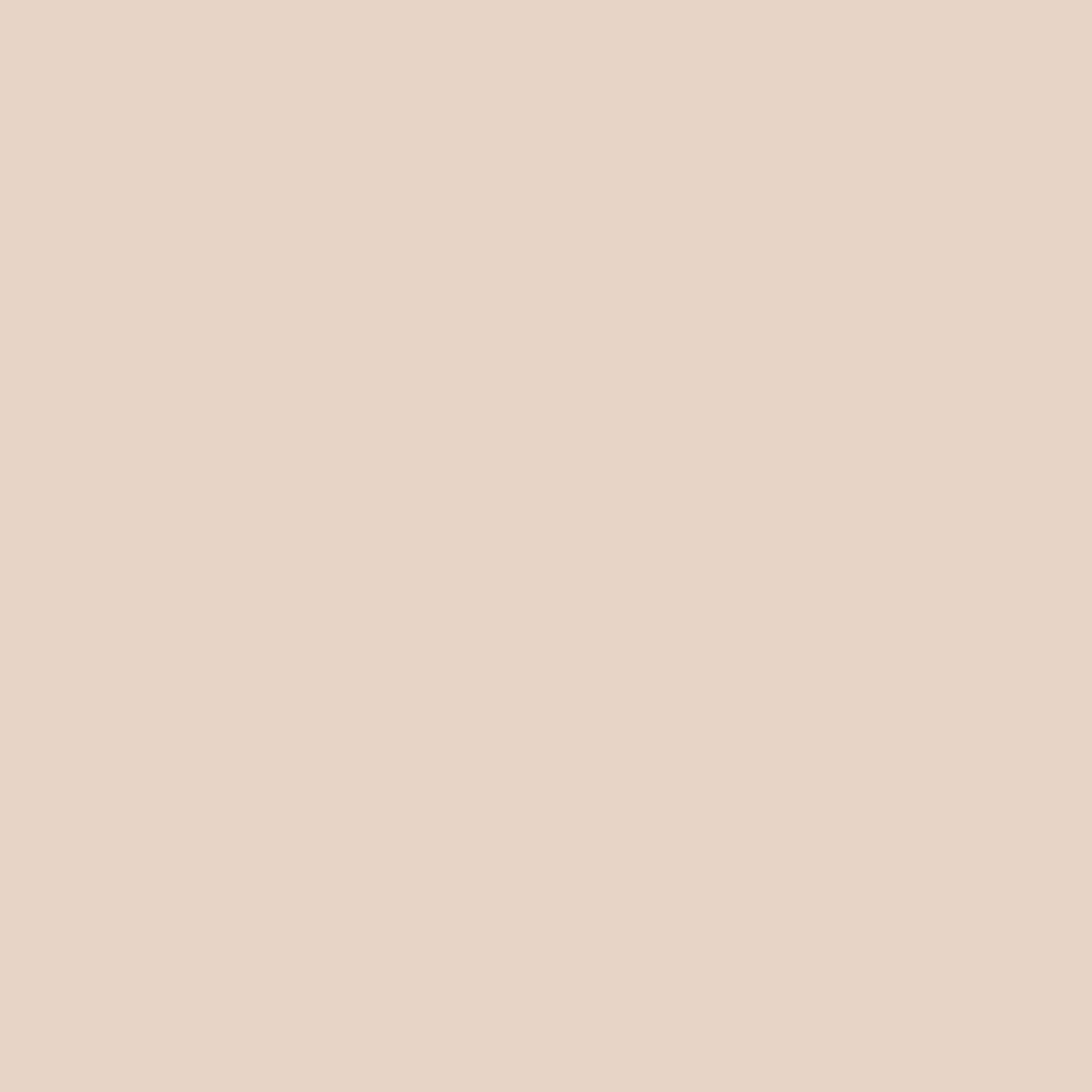 Cookie Paint Color - wall-paint-color-vernice-ross60-strong-pastel-cookie