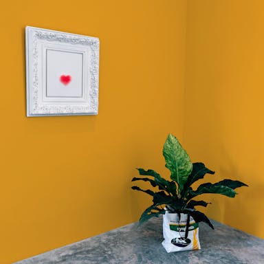 Ambra Paint Color #F0AC46 - vernice-wall-paint-interiors-ambra-10
