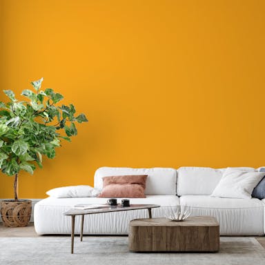 Ambra Pittura #F0AC46 - vernice-wall-paint-interiors-ambra-6