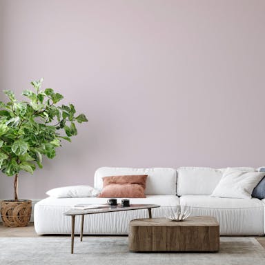 Amethyst Paint Color - vernice-wall-paint-interiors-amethyst-6