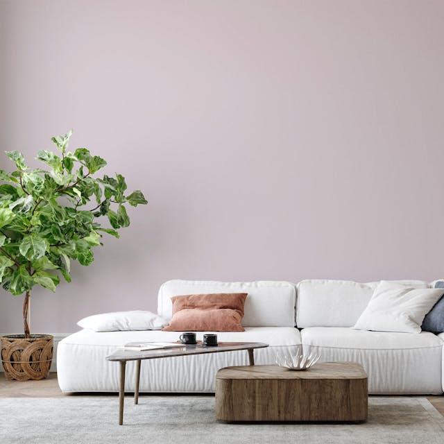 Amethyst Paint Color - vernice-wall-paint-interiors-amethyst-6
