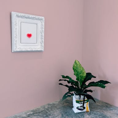 Antique Pink Paint Color - vernice-wall-paint-interiors-antique-pink-10