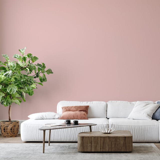 Antique Pink Paint Color - vernice-wall-paint-interiors-antique-pink-6