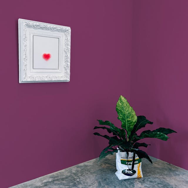 Melanzana Pittura #7C405F - vernice-wall-paint-interiors-aubergine-10