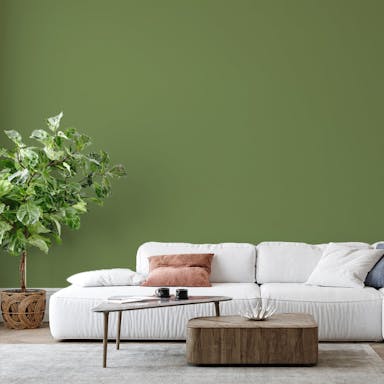 Avocado Paint Color #78875D - vernice-wall-paint-interiors-avocado-6