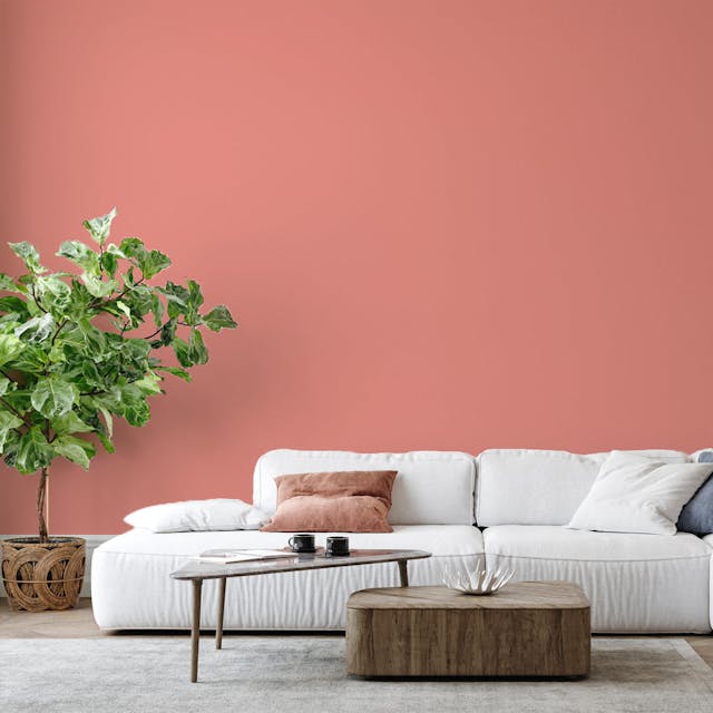 Cipria Pittura - vernice-wall-paint-interiors-blush-6