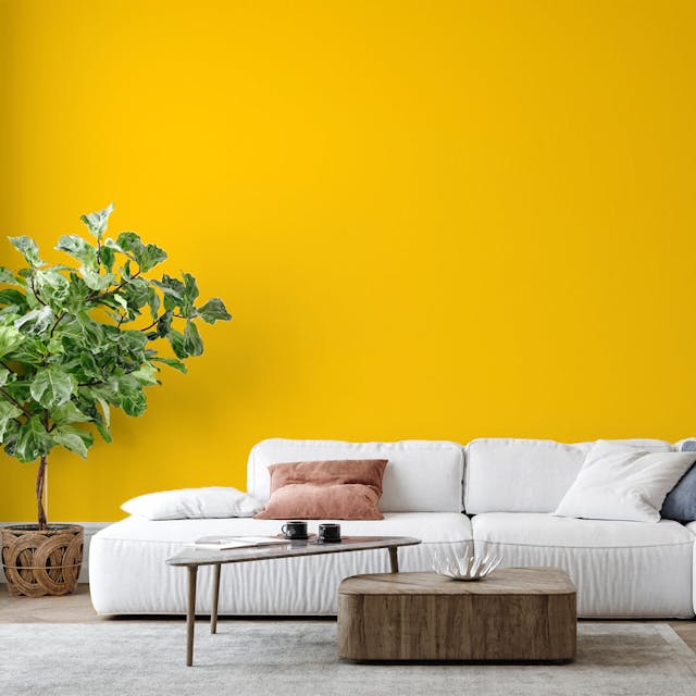 Bright Sun Paint Color #FFD03A - vernice-wall-paint-interiors-bright-sun-6