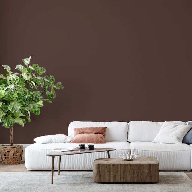 Brown Paint Color - vernice-wall-paint-interiors-brown-6