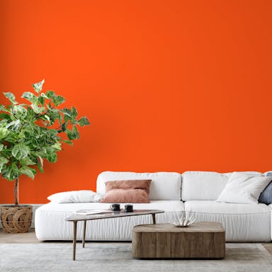 Burning Orange Paint Color #F06230 - vernice-wall-paint-interiors-burning-orange-6