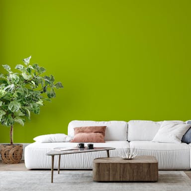 Cash Green Paint Color #98AD28 - vernice-wall-paint-interiors-cash-green-6