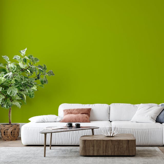 Cash Green Paint Color #98AD28 - vernice-wall-paint-interiors-cash-green-6