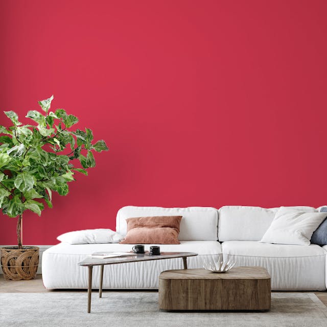 Cherry Red Paint Color #C74A5A - vernice-wall-paint-interiors-cherry-red-6