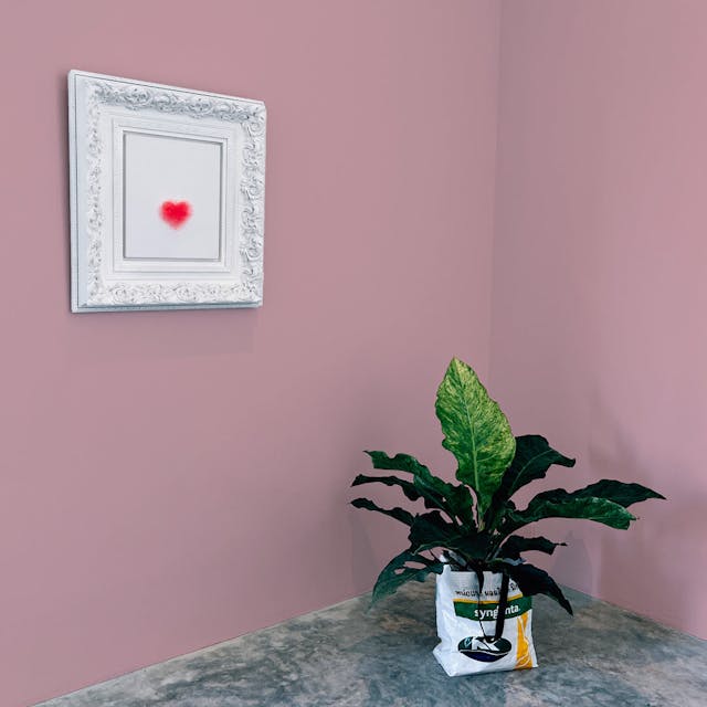 Rosa Chic Pittura - vernice-wall-paint-interiors-chic-pink-10