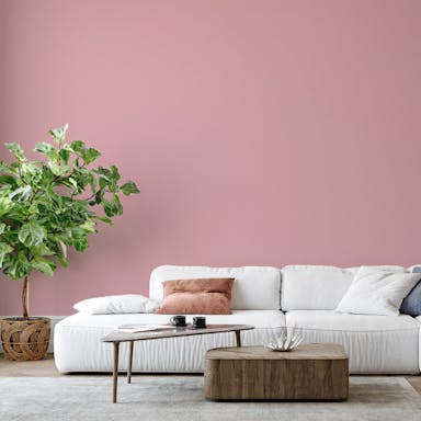 Rosa Chic Pittura - vernice-wall-paint-interiors-chic-pink-6