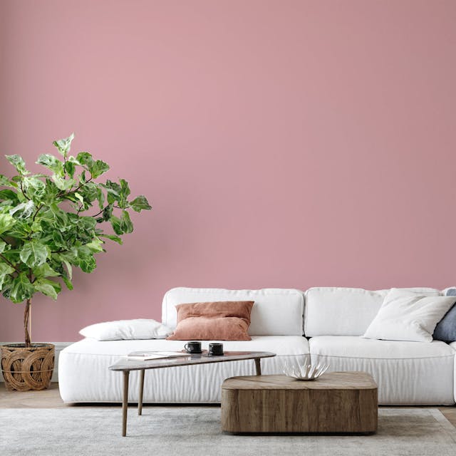 Chic Pink Paint Color - vernice-wall-paint-interiors-chic-pink-6