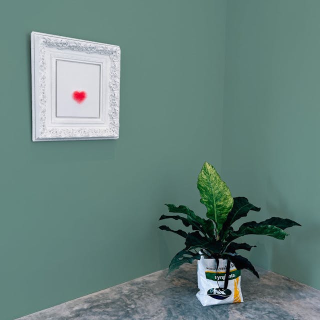 Verde Classico Pittura - vernice-wall-paint-interiors-classic-green-10