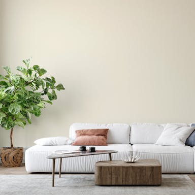 Bianco Cocco Pittura #F1EEE5 - vernice-wall-paint-interiors-coconut-white-6
