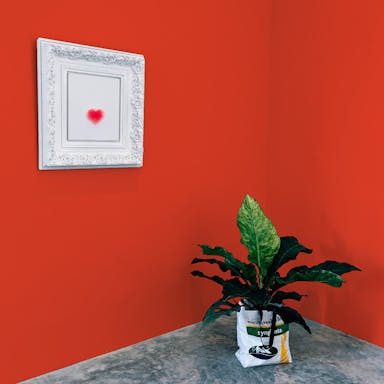 Coral Paint Color - vernice-wall-paint-interiors-coral-10