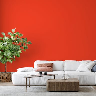 Coral Paint Color - vernice-wall-paint-interiors-coral-6
