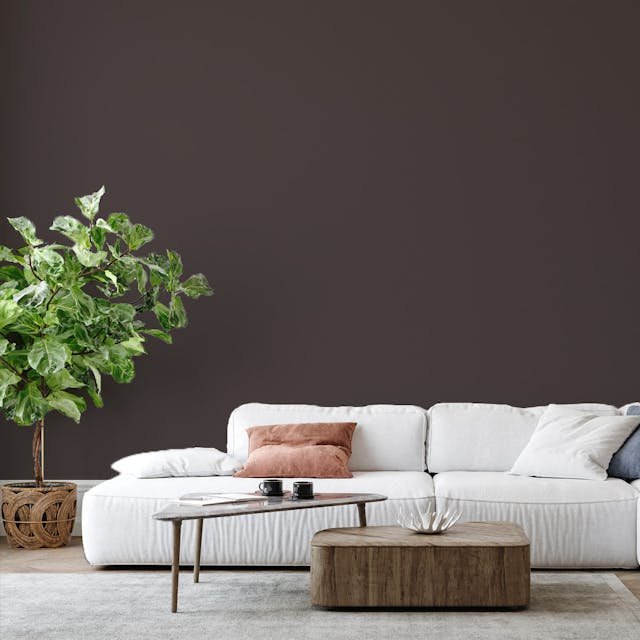 Dark Brown Paint Color - vernice-wall-paint-interiors-dark-brown-6