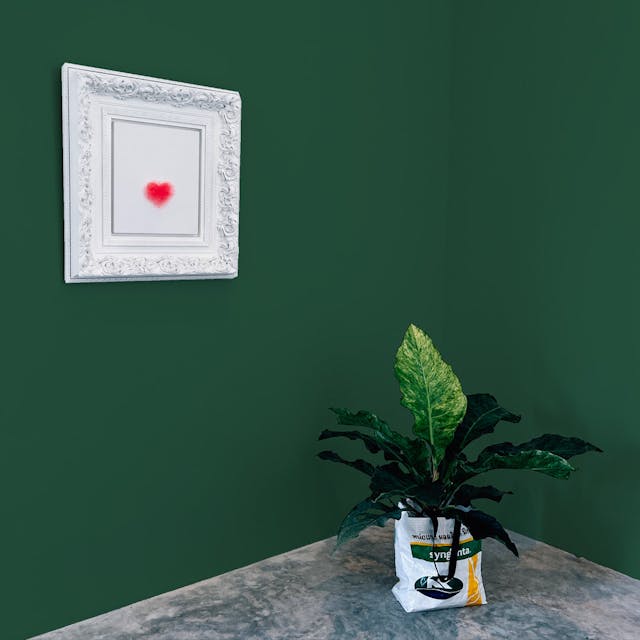Dark Green Paint Color #36523E - vernice-wall-paint-interiors-dark-green-10