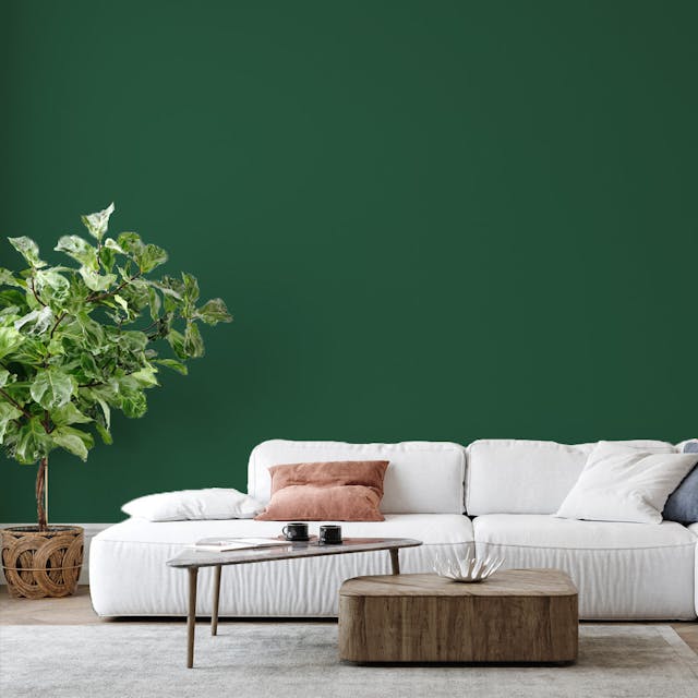 Dark Green Paint Color #36523E - vernice-wall-paint-interiors-dark-green-6