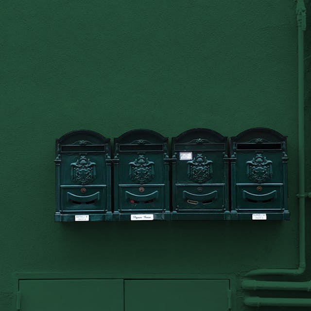 Dark Green Paint Color #36523E - vernice-wall-paint-interiors-dark-green-9