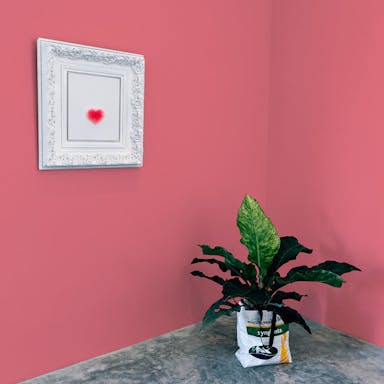 Rosa Scuro Pittura #E9838C - vernice-wall-paint-interiors-dark-pink-10