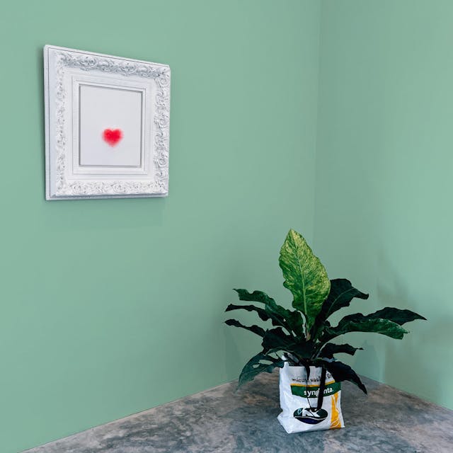 Verde Polvere Pittura #ADCFB8 - vernice-wall-paint-interiors-dusty-green-10