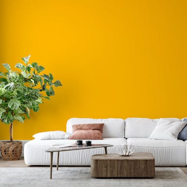Egg Yellow Paint Color #FBBC08 - vernice-wall-paint-interiors-egg-yellow-6