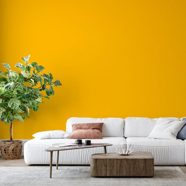Egg Yellow Paint Color #FBBC08 - vernice-wall-paint-interiors-egg-yellow-6