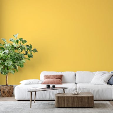 Golden Glow Paint Color #FEDA6C - vernice-wall-paint-interiors-golden-glow-6