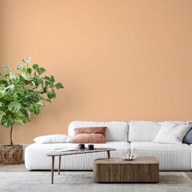 Grain Paint Color - vernice-wall-paint-interiors-grain-6