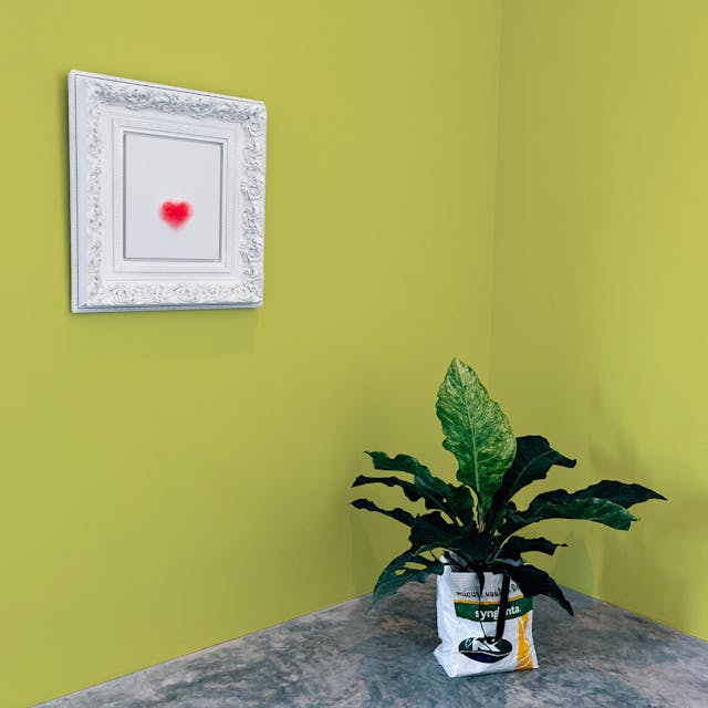 Sabbia Verde Pittura #D9D971 - vernice-wall-paint-interiors-green-sand-10