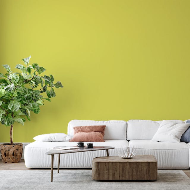 Green Sand Paint Color #D9D971 - vernice-wall-paint-interiors-green-sand-6