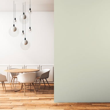 Green Tea Paint Color - vernice-wall-paint-interiors-green-tea-2