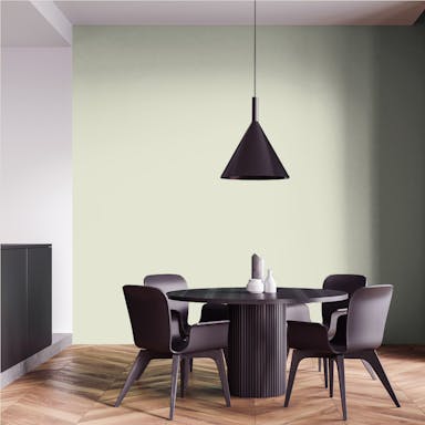 Green Tea Paint Color - vernice-wall-paint-interiors-green-tea-4