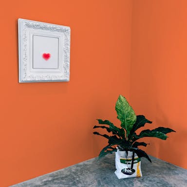 Hermete Paint Color #F78552 - vernice-wall-paint-interiors-hermete-10