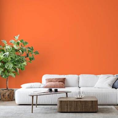 Hermete Paint Color #F78552 - vernice-wall-paint-interiors-hermete-6