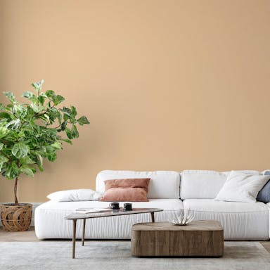 Hot Beige Paint Color - vernice-wall-paint-interiors-hot-beige-6