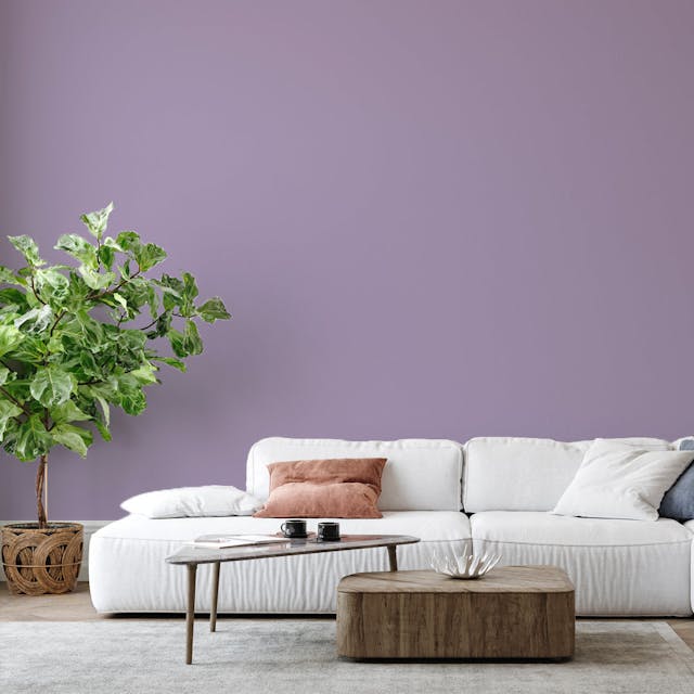Lavander Paint Color - vernice-wall-paint-interiors-lavander-6