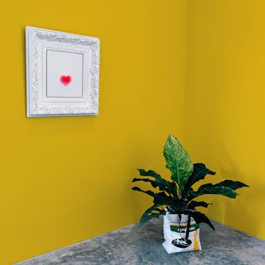 Lemon Yellow Paint Color - vernice-wall-paint-interiors-lemon-yellow-10