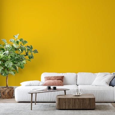 Lemon Yellow Paint Color - vernice-wall-paint-interiors-lemon-yellow-6