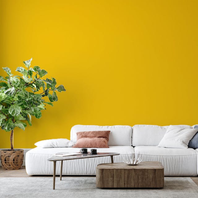 Lemon Yellow Paint Color - vernice-wall-paint-interiors-lemon-yellow-6