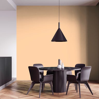 Light Apricot Paint Color #FBD4AC - vernice-wall-paint-interiors-light-apricot-4