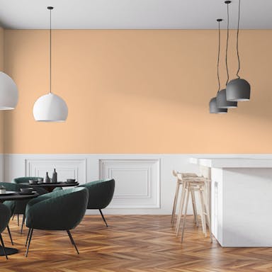Albicocca Pittura #FBD4AC - vernice-wall-paint-interiors-light-apricot-7