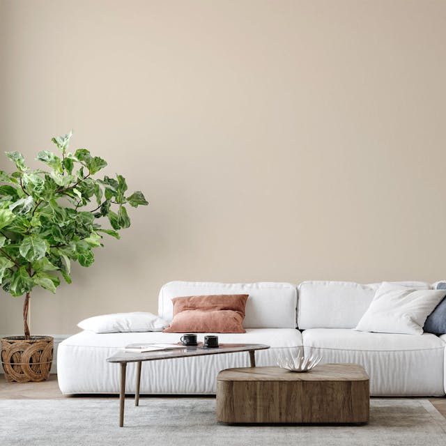 Beige Chiaro Pittura - vernice-wall-paint-interiors-light-beige6